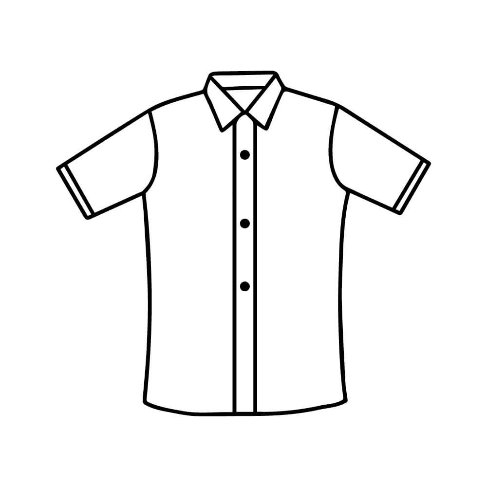 SWAN Premium White Shirt Short Sleeve Girl School Uniform