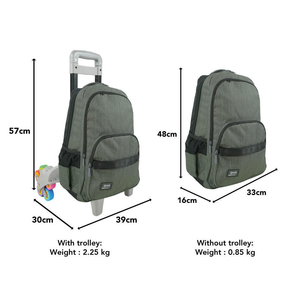 Swan Metal Design 3 Trolley Backpack (Embroidery)